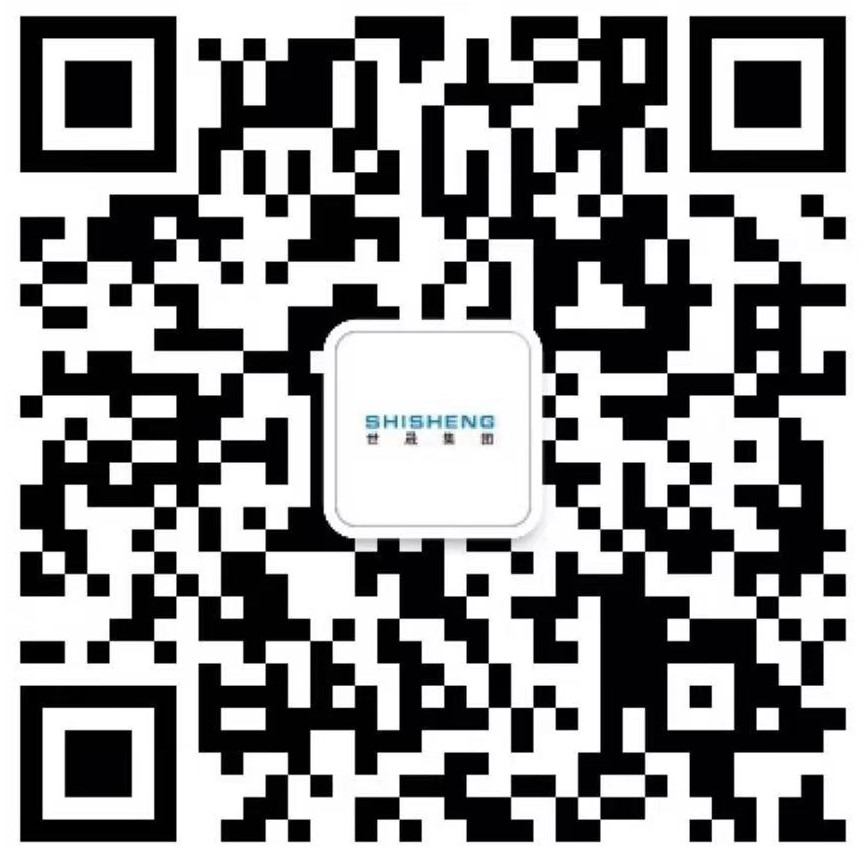 世晟控股集团有限责任公司